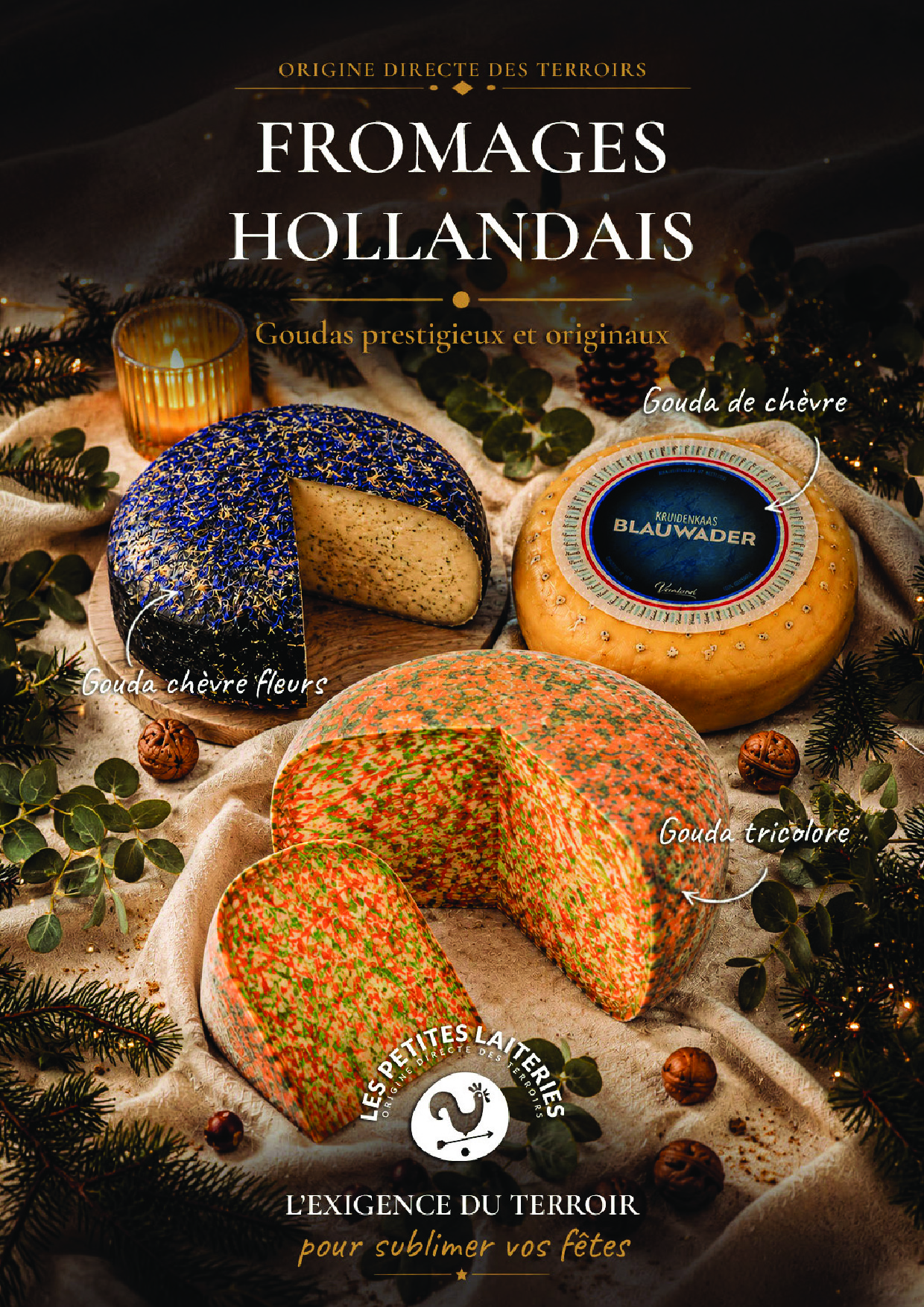 Affiche gouda noel 2026