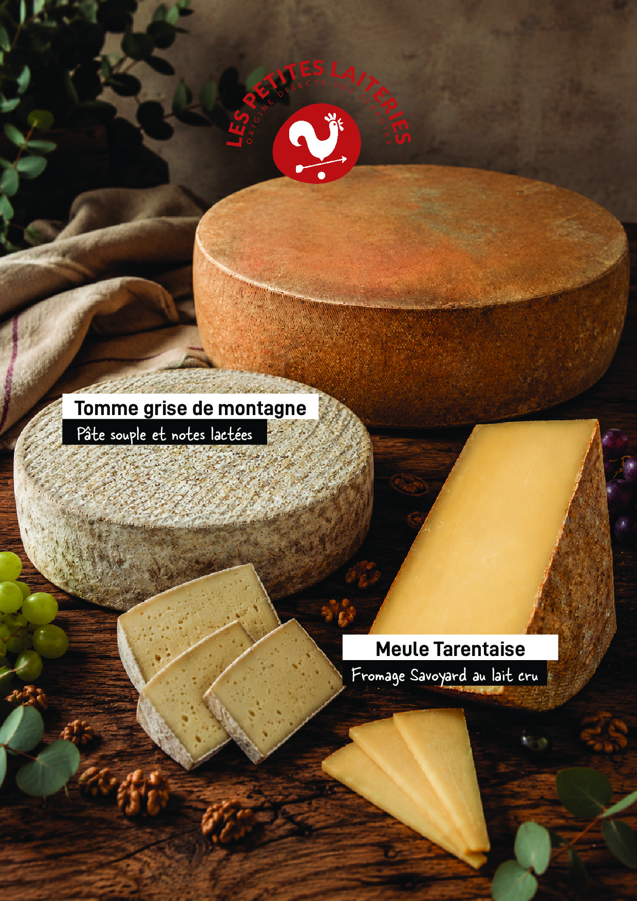 Affiche Meule Tarentaise et tomme grise de Montagne